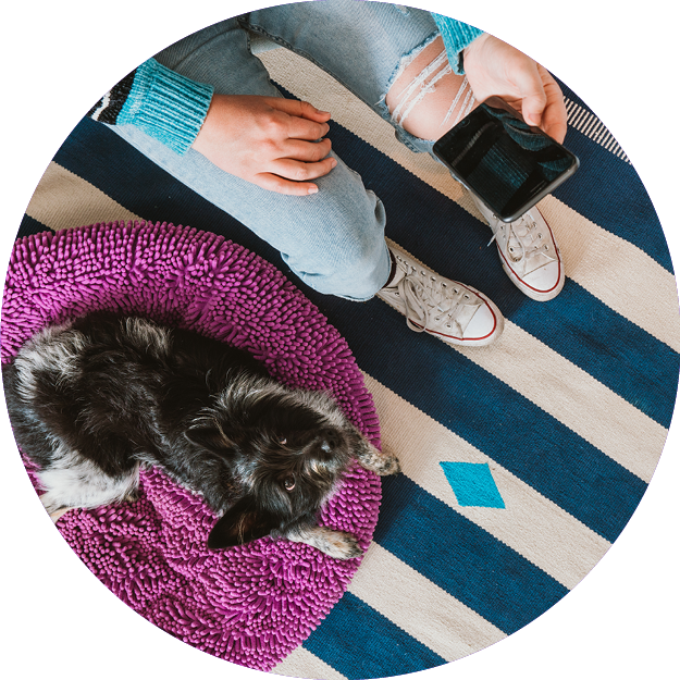 A view of a person's knees while holding a mobile phone next to a cat