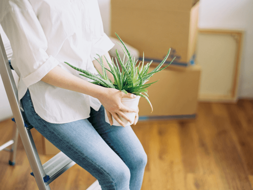 Female holding a plant in an apartment.