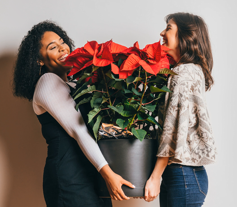 Two women carrying holiday flowers