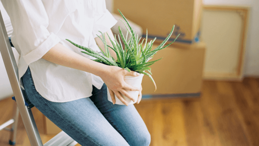 Female holding a plant in an apartment.